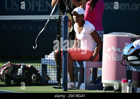 American Venus Williams wurde vor einem Training im Vorfeld des US Open Grand Slam-Tennisturniers in Flushing Meadows, New York City, USA, am Samstag, den 24. August 2013, fotografiert. Die US Open beginnen am 26. August 2013. BELGA FOTO YORICK JANSENS Stockfoto