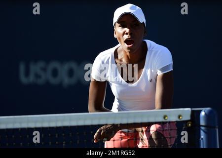 American Venus Williams wurde vor einem Training im Vorfeld des US Open Grand Slam-Tennisturniers in Flushing Meadows, New York City, USA, am Samstag, den 24. August 2013, fotografiert. Die US Open beginnen am 26. August 2013. BELGA FOTO YORICK JANSENS Stockfoto