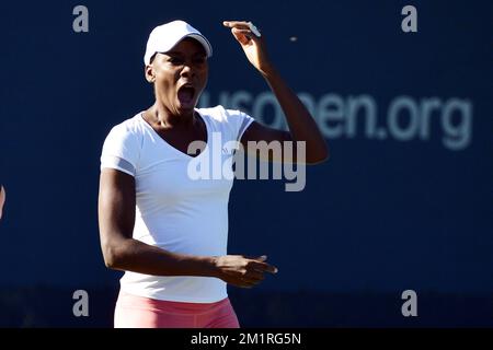 American Venus Williams wurde vor einem Training im Vorfeld des US Open Grand Slam-Tennisturniers in Flushing Meadows, New York City, USA, am Samstag, den 24. August 2013, fotografiert. Die US Open beginnen am 26. August 2013. BELGA FOTO YORICK JANSENS Stockfoto