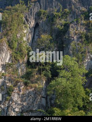 Landschaftsblick am Morgen mit Bäumen im Sonnenlicht, die auf Karst- oder Kalksteinfelsen im malerischen Bergtal, Chiang Dao, Chiang Mai, Thailand wachsen Stockfoto