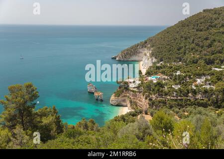 Felsen Faraglioni di Baia delle Zagare mit Stränden und Küste, in der Nähe von Mattinata, Halbinsel Gargano, Provinz Foggia, Apulien, Italien, Europa Stockfoto