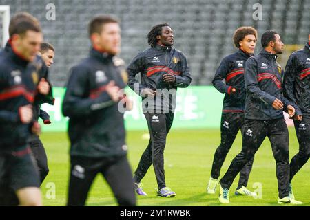 20131013 – BRÜSSEL, BELGIEN: Foto des belgischen Romelu Lukaku am Sonntag, den 13. Oktober 2013 in Neerpede, Brüssel, während eines Trainings der belgischen Fußballnationalmannschaft Red Devils. Die Red Devils gewannen ihr Qualifikationsspiel in Kroatien für die FIFA-Weltmeisterschaft 2014 am 11.. Oktober und sind sich nun sicher, dass sie nach Brasilien gehen werden. BELGA FOTO BRUNO FAHY Stockfoto