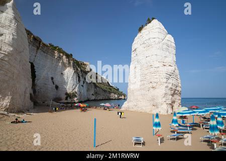 Monolite Pizzomunno am Strand unter weißen Klippen, Vieste, Halbinsel Gargano, Provinz Foggia, Apulien, Italien, Europa Stockfoto