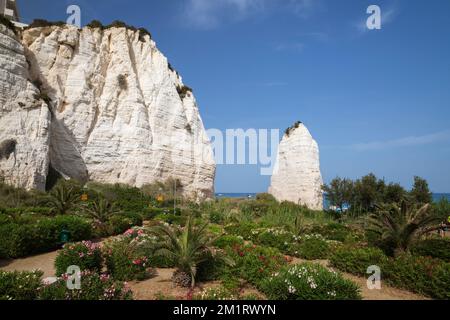 Monolite Pizzomunno am Strand unter weißen Klippen, Vieste, Halbinsel Gargano, Provinz Foggia, Apulien, Italien, Europa Stockfoto