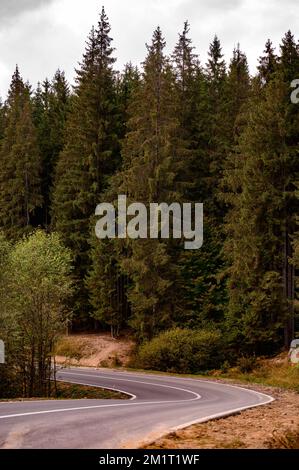 Wunderschöne, kurvige Bergstraße im Wald, Landschaft mit einer leeren Asphaltstraße durch den Wald. Stockfoto