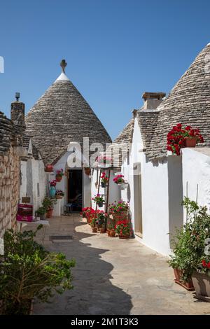 Weiß getünchte Trulli Häuser entlang der Straße in der Altstadt, Alberobello, Apulien, Italien, Europa Stockfoto