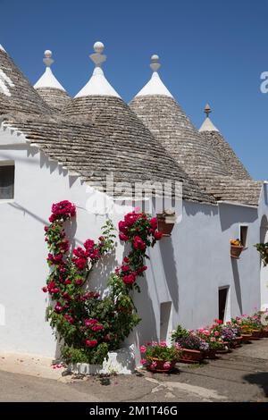 Weiß getünchte Trulli Häuser entlang der Straße in der Altstadt, Alberobello, Apulien, Italien, Europa Stockfoto