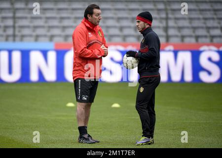 20131118 – BRÜSSEL, BELGIEN: Belgischer Cheftrainer Marc Wilmots und belgischer Eden Hazard, die am Montag, den 18. November 2013, in Brüssel während eines Trainings der belgischen Nationalmannschaft Red Devils fotografiert wurden. Letzten Donnerstag spielten sie 0-2 gegen Kolumbien und morgen spielen die Red Devils Japan in einem Freundschaftsspiel. BELGA FOTO DIRK WAEM Stockfoto