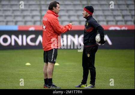 20131118 – BRÜSSEL, BELGIEN: Belgischer Cheftrainer Marc Wilmots und belgischer Eden Hazard, die am Montag, den 18. November 2013, in Brüssel während eines Trainings der belgischen Nationalmannschaft Red Devils fotografiert wurden. Letzten Donnerstag spielten sie 0-2 gegen Kolumbien und morgen spielen die Red Devils Japan in einem Freundschaftsspiel. BELGA FOTO DIRK WAEM Stockfoto