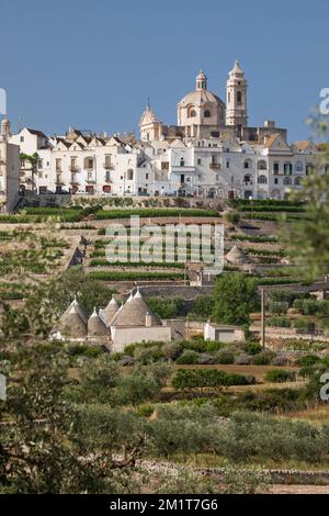 Locorotondo Stadt auf einem Hügel mit Trulli Häusern und Olivenhain im Valle d'Itria, Locorotondo, Apulien, Italien, Europa Stockfoto