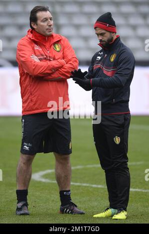 20131118 – BRÜSSEL, BELGIEN: Belgischer Cheftrainer Marc Wilmots und belgischer Steven Defour, die am Montag, den 18. November 2013, in Brüssel während eines Trainings der belgischen Fußballnationalmannschaft Red Devils gezeigt wurden. Letzten Donnerstag spielten sie 0-2 gegen Kolumbien und morgen spielen die Red Devils Japan in einem Freundschaftsspiel. BELGA FOTO DIRK WAEM Stockfoto