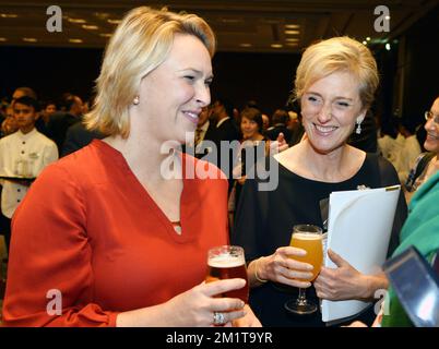 20131128 - CHENNAI, INDIEN: Prinzessin Astrid von Belgien und Celine Fremault, Ministerin für Wirtschaft, Beschäftigung, wissenschaftliche Forschung, Handel und Außenhandel der Region Brüssel-Hauptstadt, halten während des offiziellen belgischen Empfangs in Chennai, Indien, am Donnerstag, den 28. November 2013 ein Glas Bier. Am fünften Tag einer Wirtschaftsmission der belgischen Prinzessin Astrid nach Indien. BELGA FOTO ERIC LALMAND Stockfoto