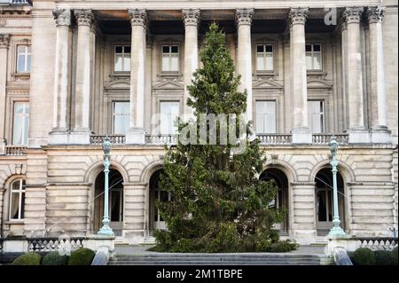 20131209 Uhr - BRÜSSEL, BELGIEN: Abbildung zeigt den Weihnachtsbaum im Königspalast in Brüssel, Montag, 09. Dezember 2013. Der Baum stammt aus Waimes, Provinz Lüttich. BELGA FOTO LAURIE DIEFFEMBACQ Stockfoto