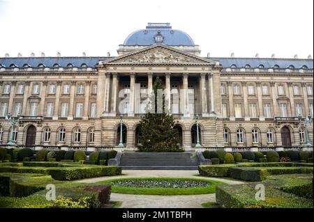 20131209 Uhr - BRÜSSEL, BELGIEN: Abbildung zeigt den Weihnachtsbaum im Königspalast in Brüssel, Montag, 09. Dezember 2013. Der Baum stammt aus Waimes, Provinz Lüttich. BELGA FOTO LAURIE DIEFFEMBACQ Stockfoto