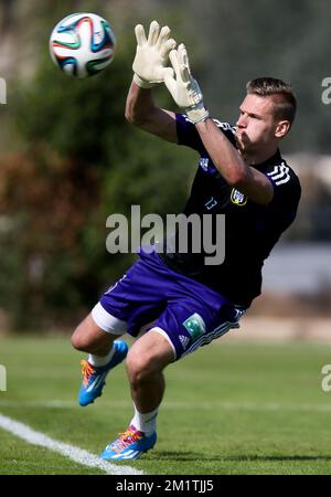 20140110 Uhr – ABU DHABI, VEREINIGTE ARABISCHE EMIRATE: Anderlecht Torwart Thomas Kaminski, der während eines Trainings am 5. Tag des Winterlagers der belgischen Fußballmannschaft RSCA Anderlecht in Abu Dhabi, Vereinigte Arabische Emirate, Freitag, den 10. Januar 2014 fotografiert wurde. BELGA PHOTO VIRGINIE LEFOUR Stockfoto