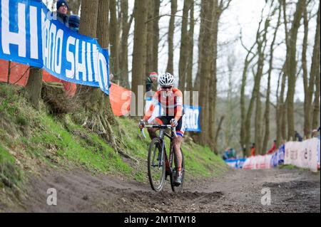 20140201 / HOOGERHEIDE/ Dieses Bild zeigt Marianne Vos bei der Cyclocross-Weltmeisterschaft in Hoogerheide / WK / CX/ Bilder von Kris ClaeyÃ Stockfoto