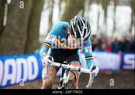 20140201 / HOOGERHEIDE/ Dieses Bild zeigt Sanne Cant bei der Cyclocross-Weltmeisterschaft in Hoogerheide / WK / CX/ Bilder von Kris ClaeyÃ Stockfoto