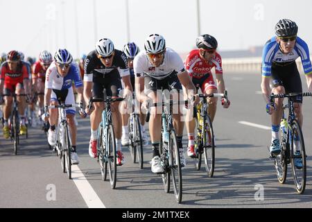 20140213 Uhr - AL ZUBARA FORT, KATAR: Belgischer Guillaume van Keirsbulck vom Team Omega Pharma - Quick Step (C) in Aktion während der fünften Etappe des Radrennens Qatar Tour 2014, 159 km von Al Zubara Fort nach Madinat Al Shamal, Katar, Donnerstag, 13. Februar 2014. Die Katar Tour 2014 findet vom 9. Bis 14. Februar statt. Stockfoto