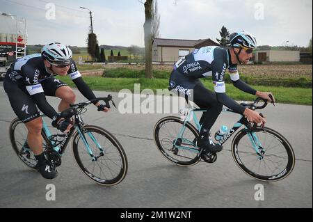 Belgischer Tom Boonen vom Team Omega Pharma - Quick Step, das in der 69.. Ausgabe des Radrennen „Dwars Door Vlaanderen“, 200,8 km von Roeselare nach Waregem, gezeigt wurde. Stockfoto