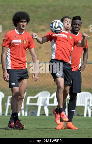 Marouane Fellaini aus Belgien, Eden Hazard aus Belgien und Divock Origi aus Belgien wurden während eines Trainings der belgischen Fußballnationalmannschaft Red Devils in Mogi das Cruzes, Brasilien, während der FIFA-Weltmeisterschaft 2014 am Dienstag, den 24. Juni 2014, gezeigt. Die Red Devils führen seine Gruppe mit zwei Siegen an, und sie werden am Donnerstag, den 26. Juni, ihr drittes Spiel in Gruppe H gegen Korea spielen. BELGA FOTO DIRK WAEM Stockfoto
