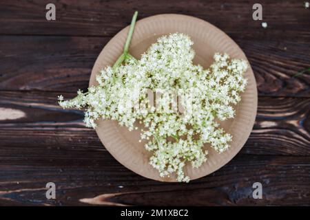 Ein Teller auf einem weißen Holztisch mit einem Haufen Holunderblumen. Zutat für Limonade mit Sirup aus weißen Holunderblüten. Stockfoto