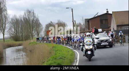 Das Bild zeigt die Gruppe der Radfahrer zu Beginn der ersten Etappe des Radrennens Driedaagse De Panne - Koksijde, 201,6 km von De Panne nach Zottegem, Dienstag, 31. März 2015. Stockfoto