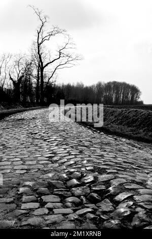 Die Abbildung zeigt Kopfsteinpflasterabschnitt 4 (Carrefour de l'Arbre) während einer Aufklärung der Strecke des eintägigen Radrennens „Paris-Roubaix“ am kommenden Sonntag, Mittwoch, den 08. April 2015 in Roubaix, Frankreich. Stockfoto