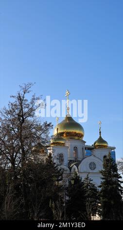 Militärische Kathedrale des Heiligen Heiligen Prinzen Alexander Nevsky, sichtbar hinter den Ästen der Winterbäume an einem sonnigen Tag Stockfoto