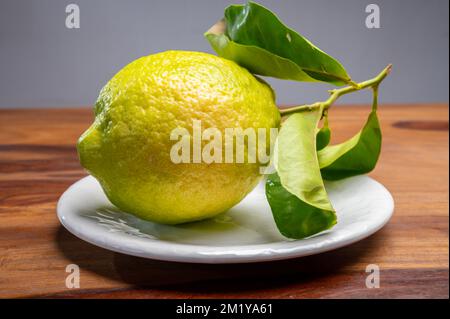 Zitronencitron Cedrate oder Citrus Medica, große, duftende Zitrusfrüchte mit dicker Rinde für die Herstellung von italienischem Limonchello Likör Stockfoto