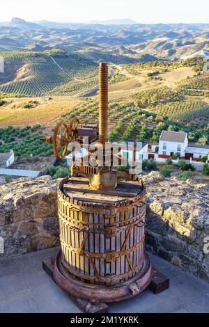 Alte Presse zur Herstellung von Olivenöl neben Feldern voller Olivenbäume in der Provinz Cadiz, Spanien. Stockfoto