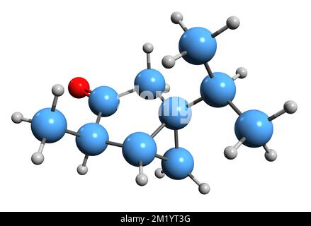 3D-Bild der Thujone-Skelettformel - molekularchemische Struktur des auf weißem Hintergrund isolierten Monoterpens 3-Thujanon Stockfoto