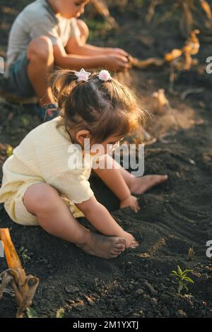 Kinder, die im Boden graben, lockern den Boden für das Pflanzen von Setzlingen. Erlernen von Gärtnerfähigkeiten. Stockfoto