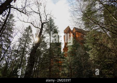 Ein hoher, spitzer roter Felsen, umgeben von hohen, engen Bäumen, durch die die Sonne scheint Stockfoto