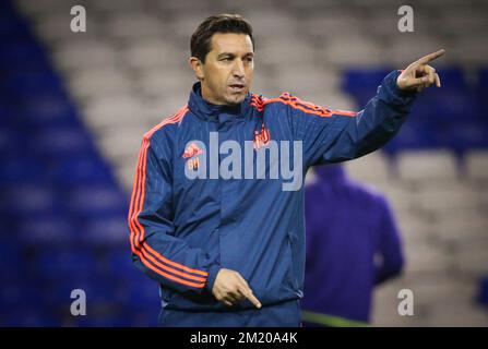 20151104 – LONDON, VEREINIGTES KÖNIGREICH: Anderlecht-Cheftrainer Besnik Hasi Gesten während einer Trainingssitzung des belgischen Fußballvereins RSC Anderlecht, im White Hart Lane Stadium in London, Vereinigtes Königreich, Mittwoch, 04. November 2015. Morgen spielt RSCA in Gruppe J, einem vierten Spiel in der Gruppenphase des UEFA Europa League-Wettbewerbs gegen Tottenham Hotspur. BELGA PHOTO VIRGINIE LEFOUR Stockfoto