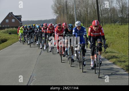 Das Radsportpaket, das während der 6.. Ausgabe des eintägigen Radrennen Kuurne-Brüssel-Kuurne, 200,7 km von Kuurne nach Kuurne, Sonntag, den 28. Februar 2016, in Aktion gezeigt wurde. BELGA FOTO ERIC LALMAND Stockfoto