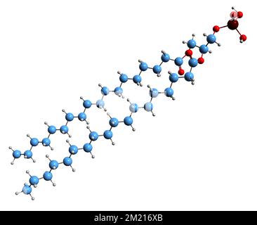 3D-Bild der Phosphatidsäure-Skelettformel - molekularchemische Struktur des auf weißem Hintergrund isolierten anionischen Phospholipids Stockfoto