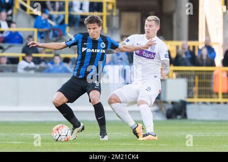 Jelle Vossen des Vereins kämpft um den Ball während des Jupiler Pro League-Spiels zwischen dem Club Brügge und RC Genk in Brügge, Sonntag, den 01. Mai 2016, am 6. Tag des Play-off 1 der belgischen Fußballmeisterschaft. BELGA FOTO KURT DESPLENTER Stockfoto