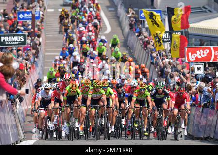 Abbildung, aufgenommen in der zweiten Phase des Radrennen Baloise Belgium Tour, 177,3km von Buggenhout nach Knokke-Heist, am Donnerstag, den 26. Mai 2016. Stockfoto