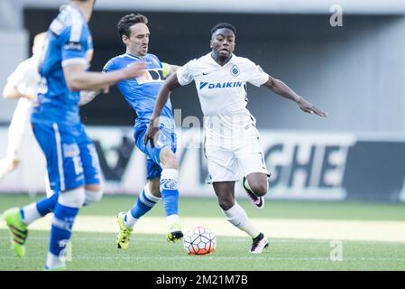 Gents Sven Kums und Abdoulay Diaby des Clubs kämpfen um den Ball während des Spiels der Jupiler Pro League zwischen KAA Gent und Club Brügge in Gent, Sonntag, den 08. Mai 2016, am 7. Tag des Play-off 1 der belgischen Fußballmeisterschaft. Stockfoto