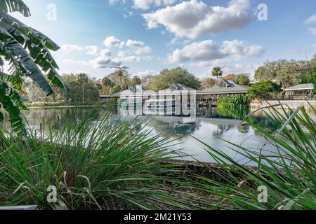 Silver Springs – Ocala, Florida Stockfoto