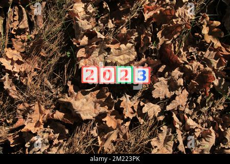 Aufschrift 2023. Spielzeugwürfel und Zahlen in trockenen Herbstblättern, das bedeutet, dass Silvester kommt. Weihnachten, Feiertage, Feste Stockfoto