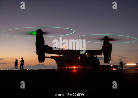 Kumamoto, Japan. 15.. November 2022. EIN US-AMERIKANISCHER Marinekorps MV-22B Osprey, dem Marine Medium Tiltrotor Squadron (VMM) 265 zugeteilt, dreht sich während Keen Sword 23 am Flughafen Kumamoto, Japan, im November. 15, 2022. Keen Sword ist eine zweijährliche Trainingsveranstaltung, bei der die kombinierten Fähigkeiten und die Letalität, die zwischen dem 1.. Marine Aircraft Wing, der III Marine Expeditionary Force und der Japan Self Defense Force (JSDF) entwickelt wurden, zum Einsatz kommen. Diese bilaterale Feldübung zwischen den USA Militär und JSDF stärken die Interoperabilität und bekämpfen die Bereitschaft der Allianz zwischen den USA und Japan. (Kreditbild: © USA Marine Stockfoto