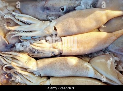 Ein Blick von oben auf frische Calamari-Röhrchen, gefroren auf Eis, auf einem griechischen Markt für Meeresfrüchte Stockfoto