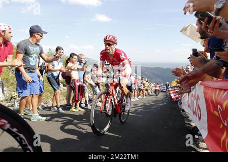 Usbekistans Sergey Lagutin von Team Katusha wurde während der achten Etappe des Radrennen Vuelta 71. in Aktion gezeigt, 181,5 km von Villalpando nach La Camperona, Spanien, Samstag, 27. August 2016. Stockfoto