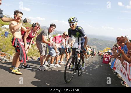 Kolumbianisches Nairo Quintana vom Movistar-Team, 181,5 km von Villalpando nach La Camperona, Spanien, Samstag, 27. August 2016 in Aktion während der achten Etappe des 71.. Radrennen Vuelta. Stockfoto