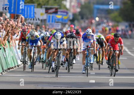 Belgischer Tom Boonen vom Team Etixx – Quick-Step-Sprints für das Ende der 4.. Ausgabe des Radrennen „Brussels Cycling Classic“, 199,3 km von und nach Brüssel, Samstag, 03. September 2016. Stockfoto