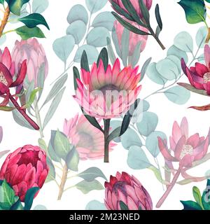 Wasserfarbenes, nahtloses Muster mit magentafarbenem protea, blühenden Blüten im Hintergrund und proteablättern. Stockfoto