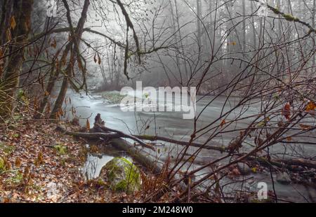 Lange Exposition des Alouette River an einem nebligen Morgen im Golden Ears Provincial Park in British Columbia, Kanada Stockfoto