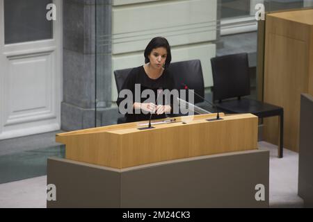 Nadia Sminate von NV-A wurde auf einer Plenartagung des flämischen Parlaments am Mittwoch, den 11. Januar 2017 in Brüssel abgebildet. BELGA FOTO FILIP DE SMET Stockfoto