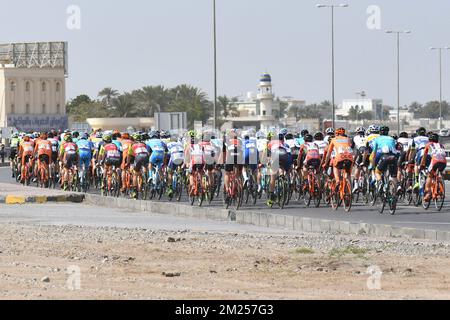 Die Abbildung zeigt das Reiterpaket während der ersten Etappe des Radrennen Tour of Oman 2017, einer 176,5 km langen Strecke von Al Sawadi Beach zum Naseem Park, Oman, am Dienstag, den 14. Februar 2017. Die Tour von Oman 2017 findet vom 14. Bis 19. Februar statt. BELGA FOTO YUZURU SUNADA Stockfoto